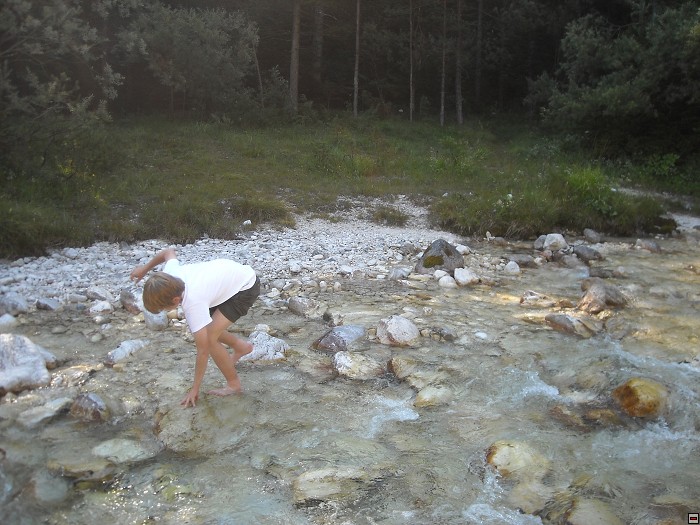 img00031.jpg