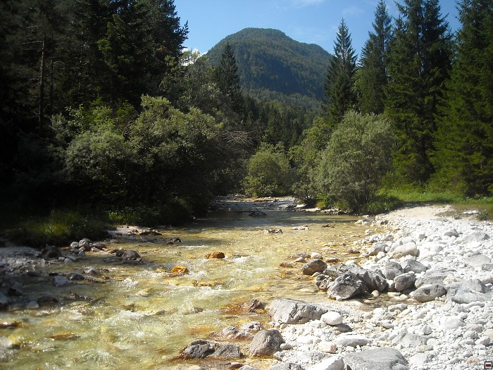 img00041.jpg