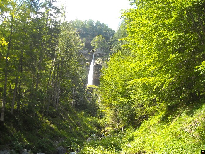 img00043.jpg