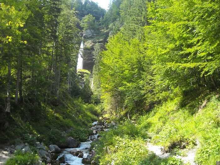 img00045.jpg