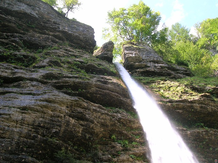 img00048.jpg