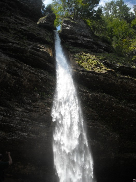 img00051.jpg
