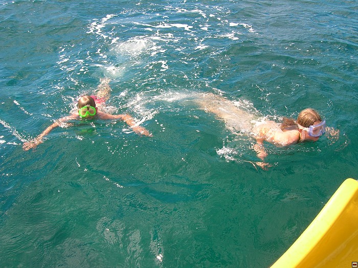 img00319.jpg