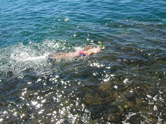 img00339.jpg