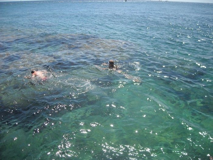 img00373.jpg