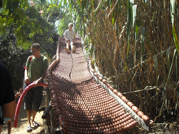img00377.jpg