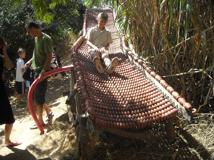 img00379.jpg