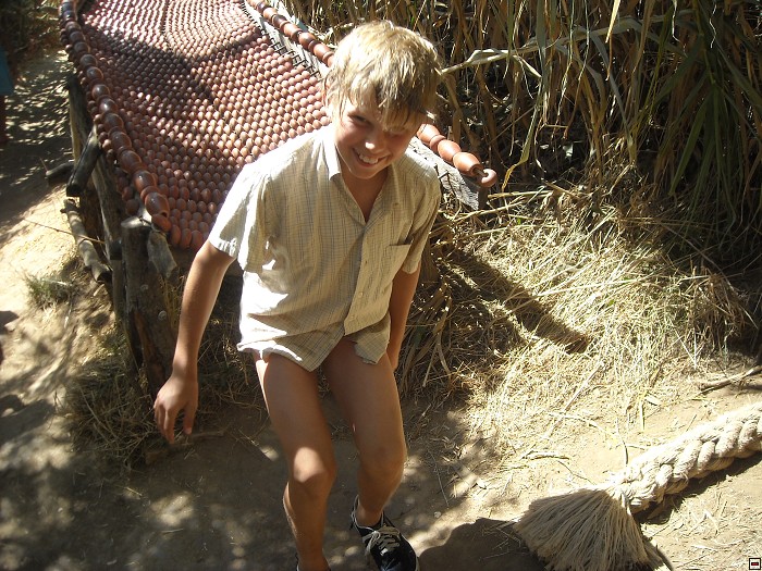 img00381.jpg