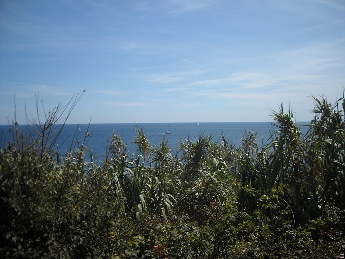 img00386.jpg