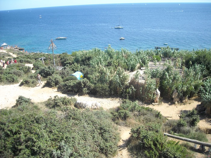 img00391.jpg