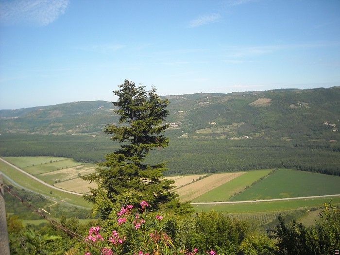 img00398.jpg