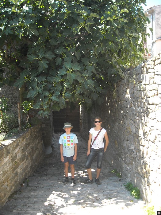 img00407.jpg