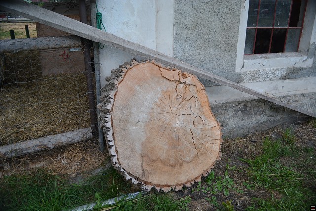img00087.jpg