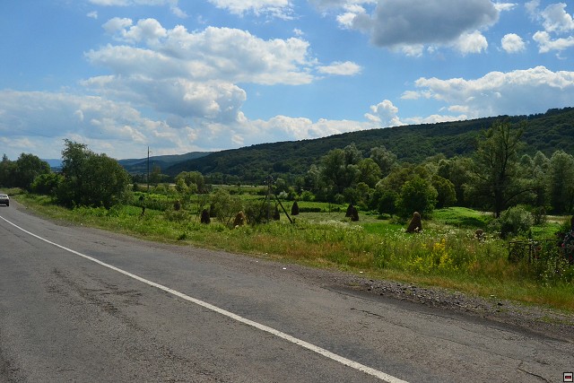 img00001.jpg
