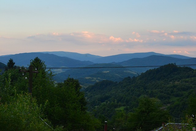 img00007.jpg