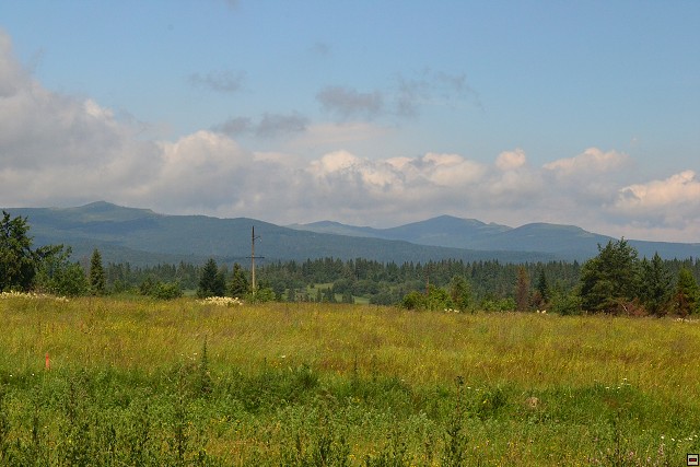 img00014.jpg