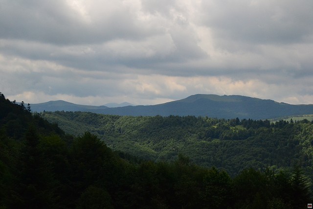 img00017.jpg