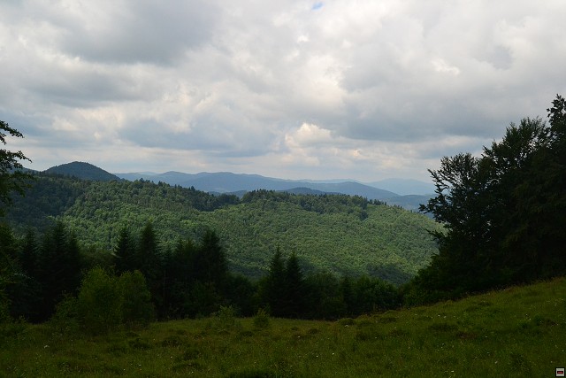img00019.jpg