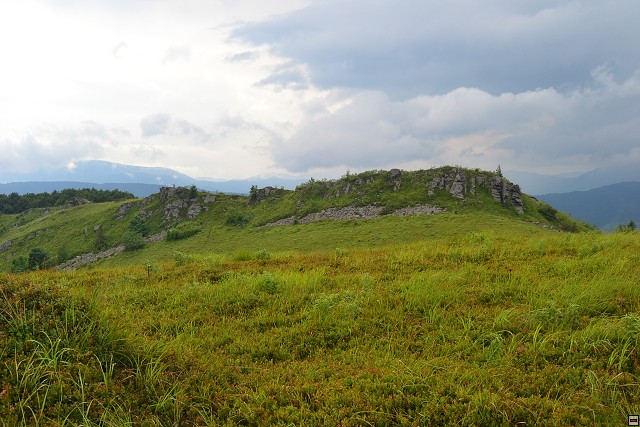 img00037.jpg