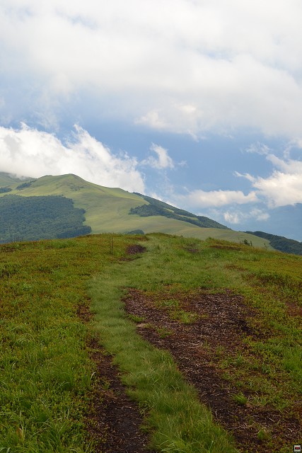 img00038.jpg