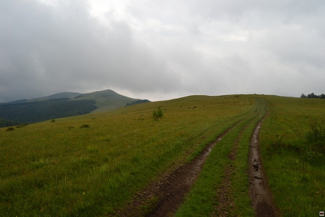 img00039.jpg