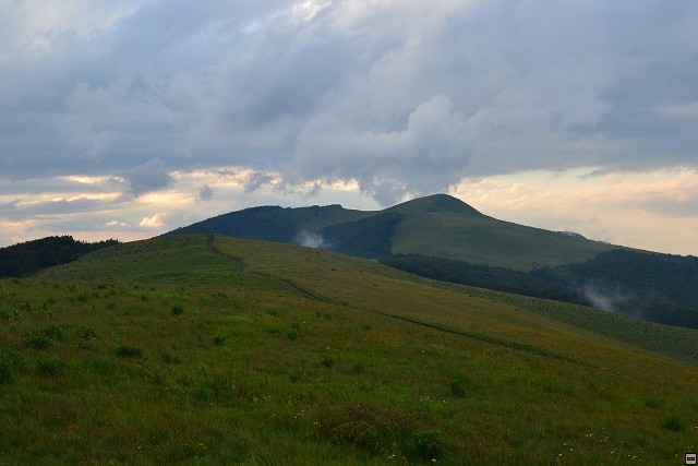 img00040.jpg