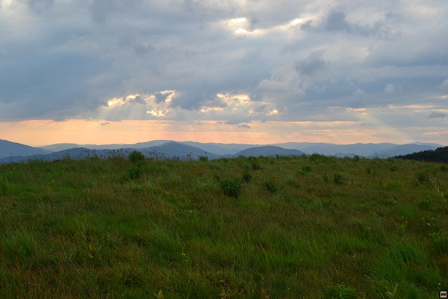 img00041.jpg