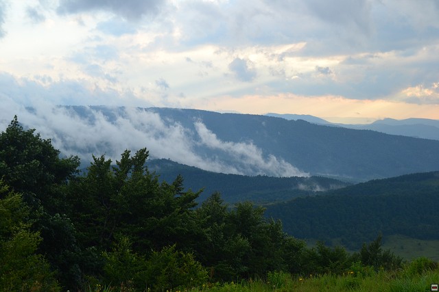 img00042.jpg