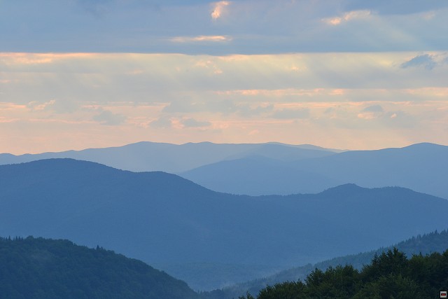 img00047.jpg