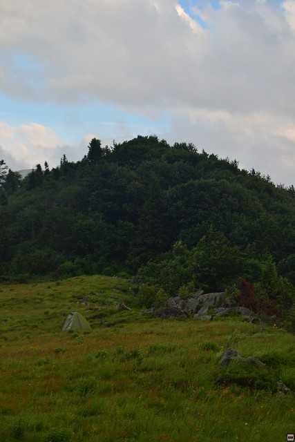 img00050.jpg