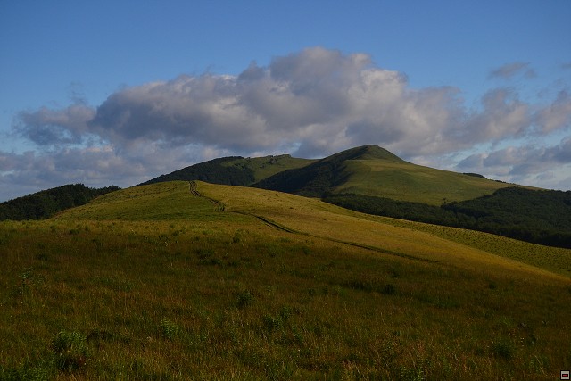 img00051.jpg