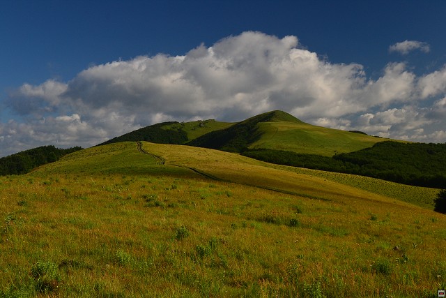 img00052.jpg