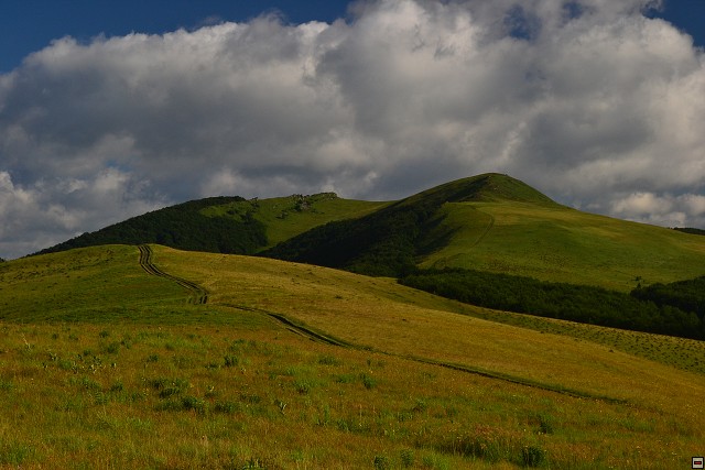 img00053.jpg