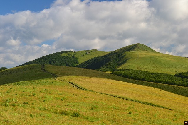 img00055.jpg