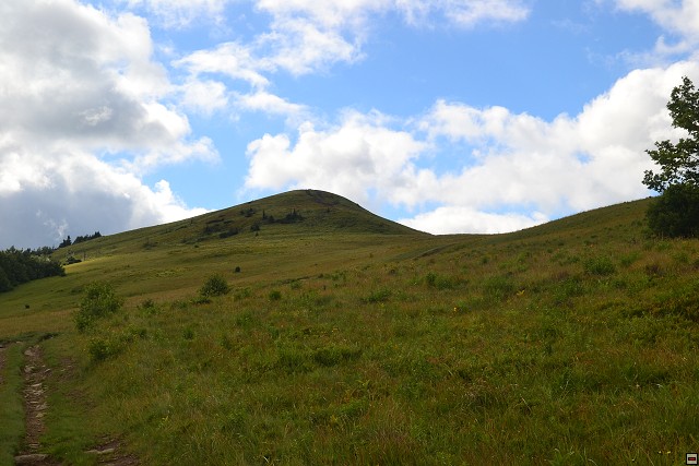 img00056.jpg