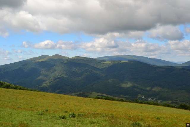 img00057.jpg
