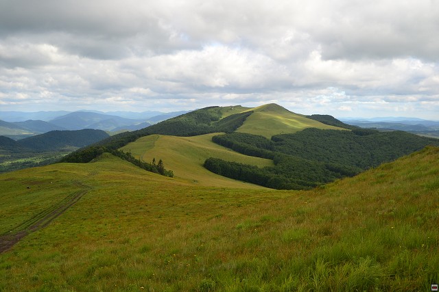 img00058.jpg