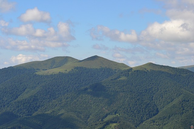 img00063.jpg