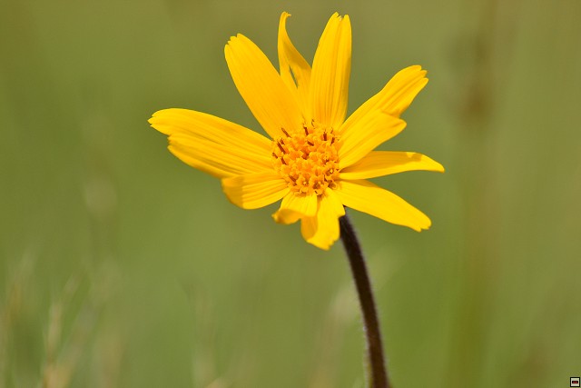img00065.jpg