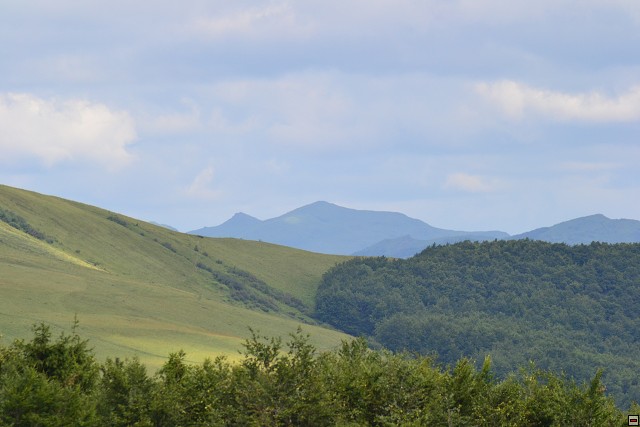 img00066.jpg