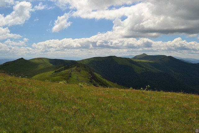 img00073.jpg