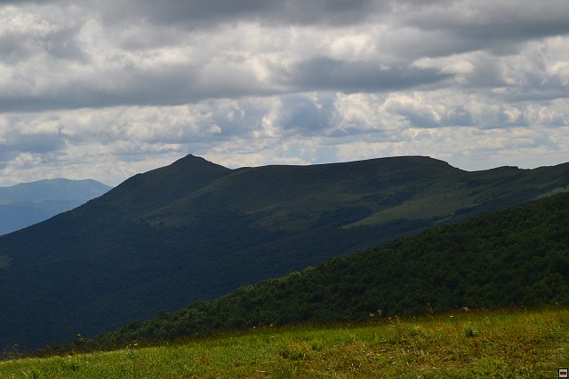 img00081.jpg