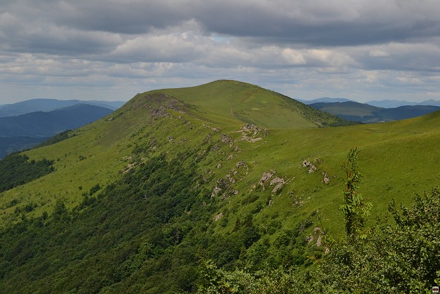 img00082.jpg