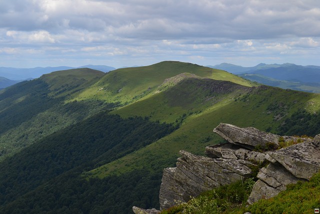 img00083.jpg