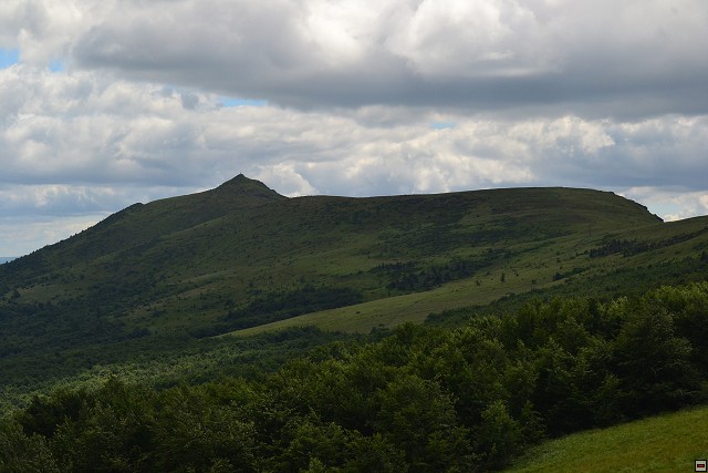 img00084.jpg