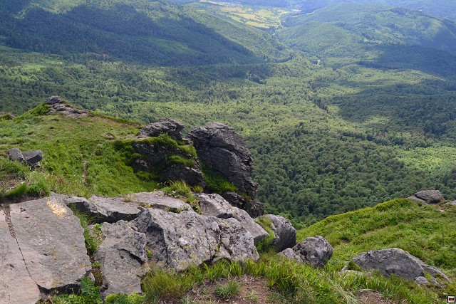 img00101.jpg