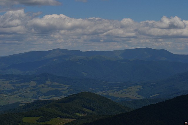 img00102.jpg
