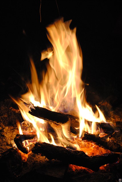 img00081.jpg
