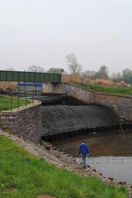 img00082.jpg
