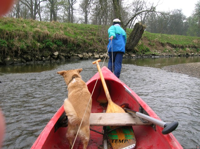 img00092.jpg